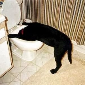 Meet your Posher, Timothy